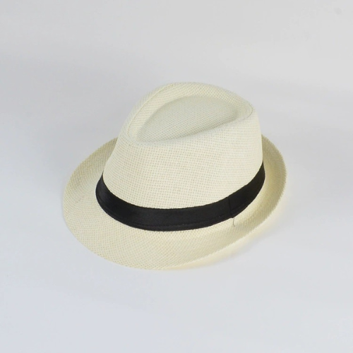 Unisex Hat Fedora Trilby Wide Brim Straw Cap - BH-SC 1210