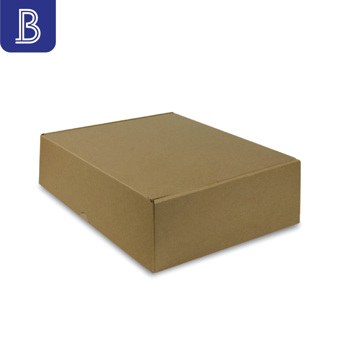 Mailer Box- BH-B100