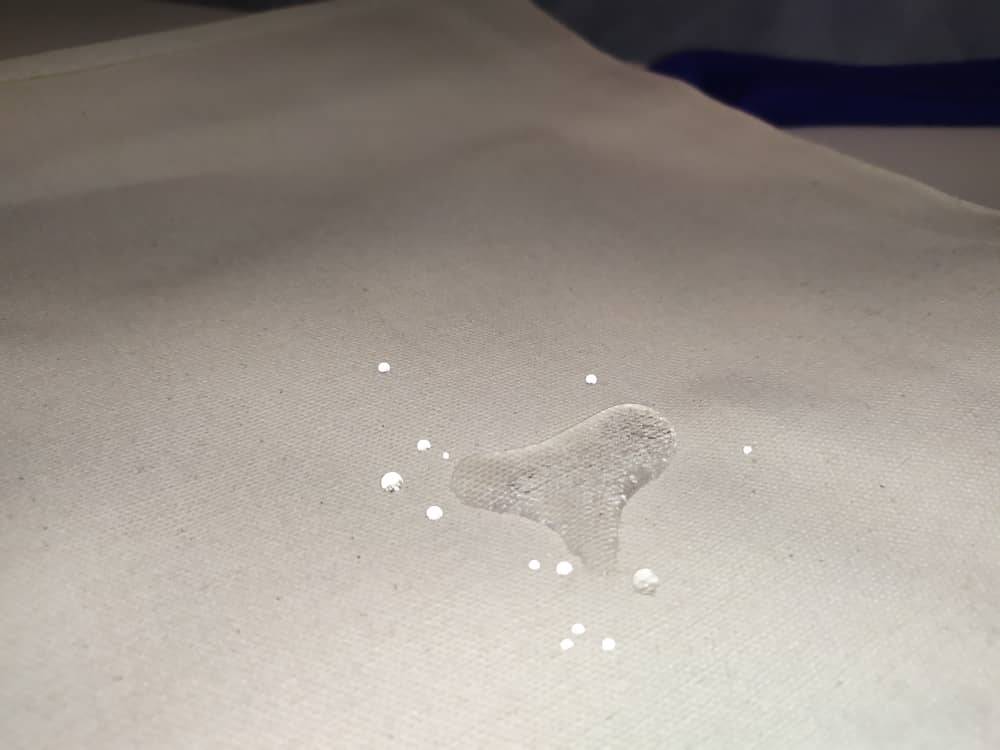 Laminated Canvas Tote Bag