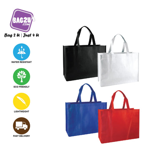 Non Woven Bag - NWB 43351